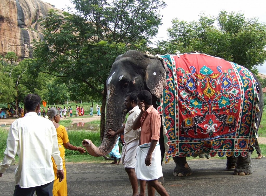 TamilNadu2011-219-von-304.jpg